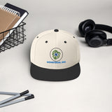 MONSTERAS, INC Snapback Hat